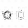 TRIALLI MR1034 Ступица  Ford Transit (06-) (перед. с подшип.) (MR 1034)