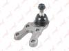 LYNX C1166LR C1166LR_опора шаровая нижняя!\ Hyundai Terracan 01&gt;