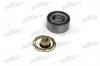 PATRON PBK3648 Подшипник ступичный передн OPEL: VIVARO/RENAULT: TRAFIC/VEL SATIS/ESPACE