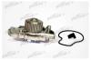 PATRON PWP1021 Насос водяной M-146 HONDA ACCORD/PRELUDE 1.8I-2.2I 90-