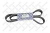STELLOX 0101447SX Ремень ручейковый 10PK1445