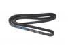 STELLOX 0131650SX 01-31650-SX_ремень клиновой 13x1650 Omn DAF,Setra,Iveco,MAN,MB,RVI,Scania