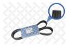 STELLOX 0801400SX Ремень ручейковый 8PK1400