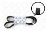 STELLOX 0801600SX 08-01600-SX_ремень! поликлиновой 8PK1600\MB Axor,RVI