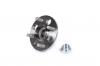 STELLOX 4328354SX 43-28354-SX_=R174.19 [42200S04008] !к-кт подшип. ступ. зад.\ Honda Civic 1.3-1.6 87-00 без ABS drum