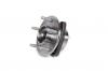 STELLOX 43-29001-SX Комплект подшипника ступицы колеса