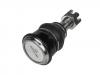 STELLOX 5201577ASX 52-01577A-SX_опора шаровая нижняя/Nissan Primera02