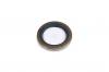 STELLOX 8101198SX 81-01198-SX_сальник хвостовика! 72x105x13 \MB,MAN