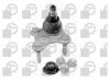 BGA SJ9609 SJ9609_опора шаровая нижняя правая!\ Audi A3 06&gt;, VW Passat all 05&gt;