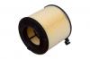 RAF FILTER RST8W0133843C Фильтр воздушный