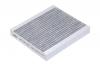 RAF FILTER RSTC002TOXY Фильтр салона угольный