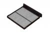 RAF FILTER RSTC025SU Фильтр салона угольный RAF Filter RSTC025SU