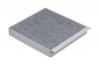 RAF FILTER RSTC032CG Фильтр салона угольный RAF Filter RSTC032CG