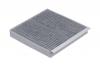 RAF FILTER RSTC035GW Фильтр салона угольный RAF Filter RSTC035GW