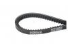 METACO AVX10X800 Ремень клиновый FORD / SEAT / VW 2A0795