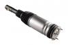 ROERS PARTS RP36SP003 Пневмостойка