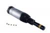 ROERS PARTS RP36SP009 Пневмостойка