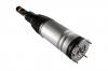ROERS PARTS RP36SP010 Пневмостойка