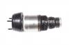 ROERS PARTS RPA2923204613 Пневмостойка