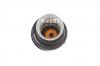 ROERS PARTS RPA2923204613 Пневмостойка