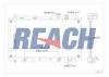 REACH 1412051116 Радиатор системы охлаждения HONDA CRV ALL MODELS 1997-2001