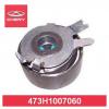 CHERY 473H1007060 КРОНШТЕЙН НАТЯЖНОГО МЕХАНИЗМА РЕМНЯ ДВС
