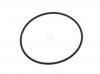 GENERAL MOTORS 94580509 Прокладка помпы (1.4/1.6) (Lacetti)