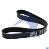 SAMPA 03400301 Ремень поликлиновой 8PK1020