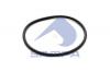 SAMPA 037174 Кольцо уплотнительное Volvo (64,5 х 3,0)