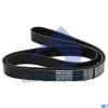 SAMPA 04308901 Ремень поликлиновой 8PK1509
