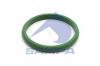 SAMPA 051437 Кольцо уплотнительное DAF