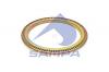 SAMPA 075194 SA075.194_кольцо ступицы металл! зубчатое ABS z=100 \SAF
