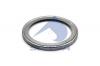 SAMPA 077028 Пыльник ступицы задней RVI Premium dCi11