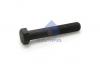 SAMPA 102446 SA102.446_болт стабилизатора! M16x1.5/22x75/100 SW27/ MAN