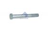 SAMPA 102506 SA102.506_болт! M24x2x200\ MB