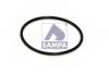 SAMPA 115523 SA115.523_кольцо уплотнительное! поворотного кулака\ MAN
