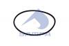 SAMPA 115534 Кольцо уплотнительное ступицы BPW, Volvo, DAF