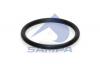 SAMPA 115726 Кольцо уплотнительное HCV