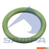 SAMPA 115909 Круглое уплотнение 19X3B-FPM1-70-GN