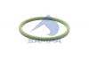 SAMPA 115A604 Кольцо уплотнительное HCV
