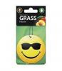 GRASS ST0398 ST-0398_ароматизатор воздуха картонный! Smile персик\