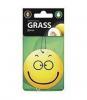 GRASS ST0399 ST-0399_ароматизатор воздуха картонный! Smile дыня\