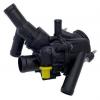 ZIKMAR Z68521R ТЕРМОСТАТ