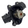 ZIKMAR Z68557R ТЕРМОСТАТ