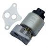 ZIKMAR Z68908R Клапан рециркуляции