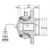 ZIKMAR Z89298R СТУПИЦА КОЛЕСА