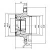 ZIKMAR Z89562R Ступица зад citroen c5 01-08