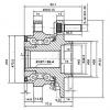 ZIKMAR Z89688R Подшипник ступицы