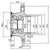 ZIKMAR Z89698R Ступица колеса