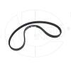 NSP NSP022521202552 Ремень приводной HYUNDAI Getz